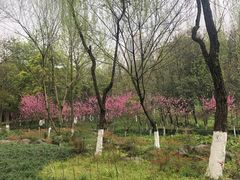 -重庆彩云湖湿地公园