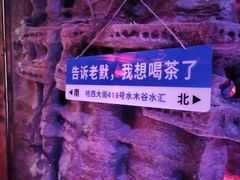 -水木谷养生水汇