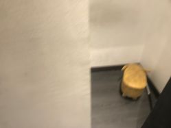 -G-STEPS舞蹈工作室