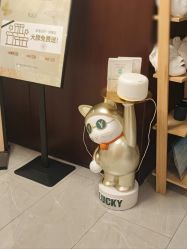 -R&Y·肌について日韩问题肌皮肤管理