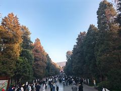 -灵谷景区