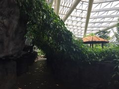 iphone_upload_pic-西安世博园