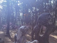 -红螺寺