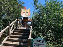 -大岭沟猕猴桃谷风景区