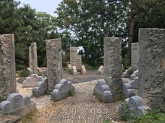 -北京鹫峰国家森林公园