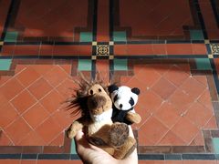 -香港大学