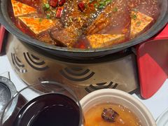 -眉州东坡(望京店)