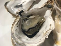 -罗源湾8号渔排