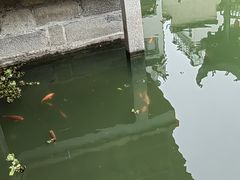 -绩溪龙川景区