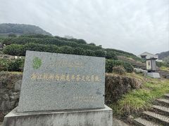 -龙井村