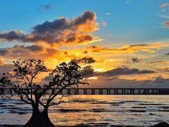 -宝安西湾红树林湿地公园