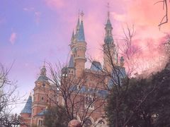 -上海迪士尼度假区