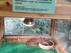 -上海大自然野生昆虫馆(东方明珠·爬宠昆虫探索中心)