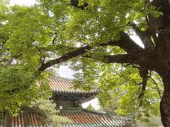 -潭柘寺景区