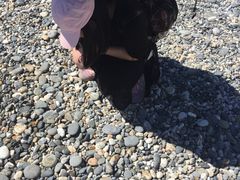 -七星潭蓝天广场