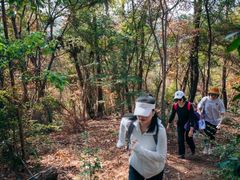 -青龙山国家森林公园