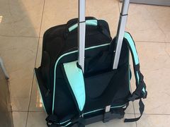 -瑞派申生动物医院·24H夜诊·国际动物医疗中心·骨外科(吴中路店)