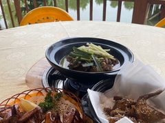 鹽焗乳鴿-一煲鸽