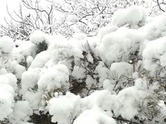 -长辛店二七公园