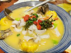 -熠盛粤味·顺德桑拿鸡(永康路店)