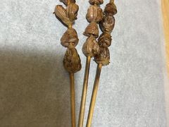 烤鸡心-烤五行·烧烤烤串(石佛营店)