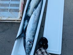 -青岛沙子口国家中心渔港