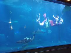 -蓬莱欧乐堡海洋极地世界