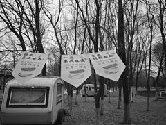 -长白岛森林公园