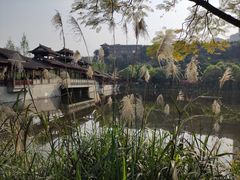 -重庆彩云湖湿地公园