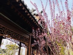 -迎泽公园