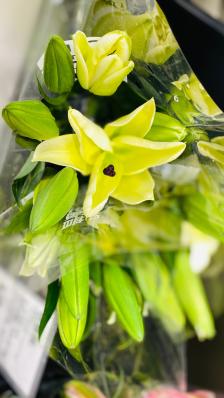 ludao鹿岛生活(龙湖重庆金沙天街店)-"91日期:2021/3/23 ————.