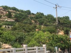 -崂山水果园农家宴(泉水鸡店)
