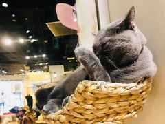 -小时光咖啡馆(开森度假森林店)