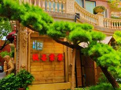 -叶叶菩提(太原别墅店)