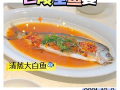 五椒蒸俏白鱼-巴陵全鱼席(湖南老字号汴河街店 )