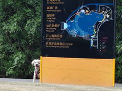 -上海月湖雕塑公园