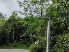 -都江堰中华大熊猫苑