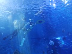 -多彩贵州城极地海洋世界