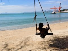 -广东惠东海龟国家级自然保护区
