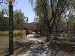 -滨河世纪广场公园