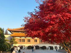 -南京博物院