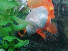 -南通洲际绿博园