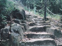 -南山植物园
