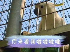 -成都动物园