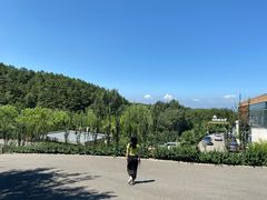 -欢乐松鼠谷