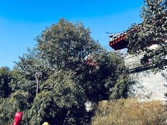 -元大都城垣遗址公园