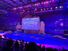 -华夏文旅海洋公园