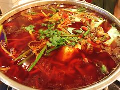 -川道拐耗儿鱼(旗舰店)
