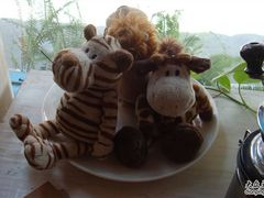 -Babycat私家御饼屋(龙头路一店)