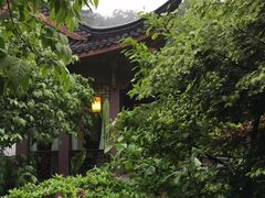 -十八棵（老龙井）御茶园(老龙井店)